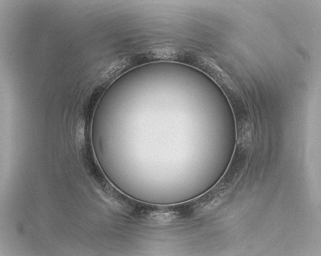 X0000116020213200911201241