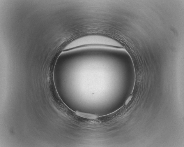 X0000116020215200911201241