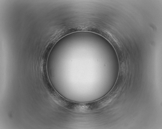 X0000116020217200911201241