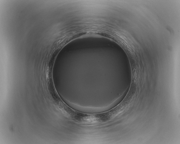 X0000116020219200911201241