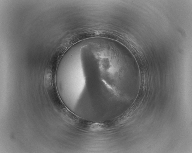 X0000116020222200911201241