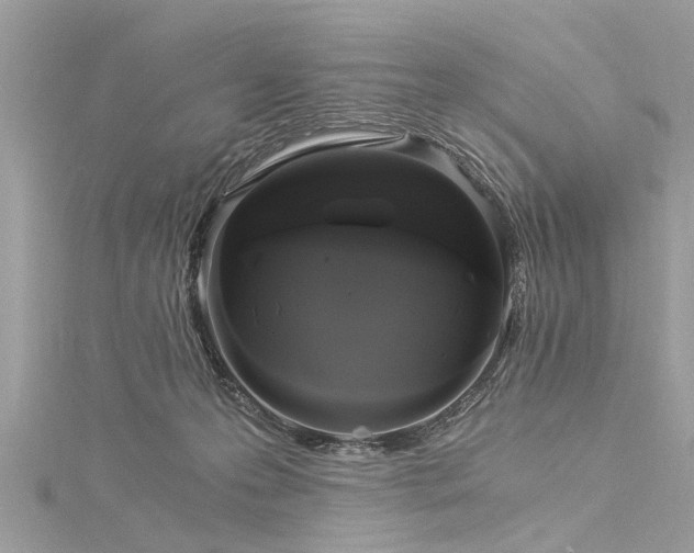 X0000116020223200911201241