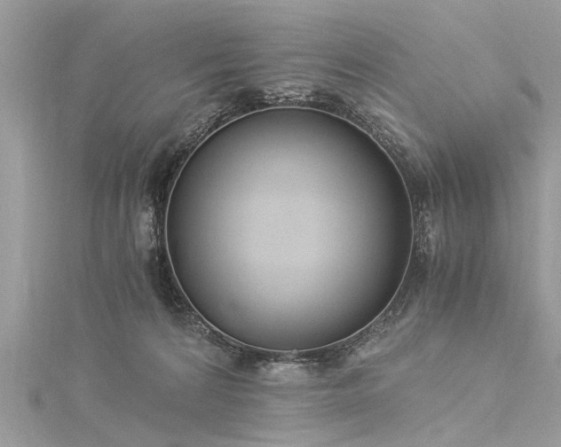 X0000116020224200911201241