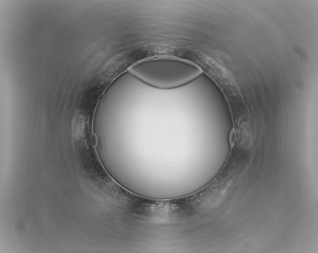 X0000116020225200911201241