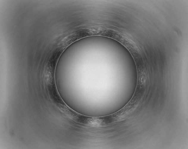 X0000116020226200911201241