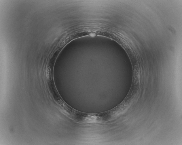 X0000116020227200911201241