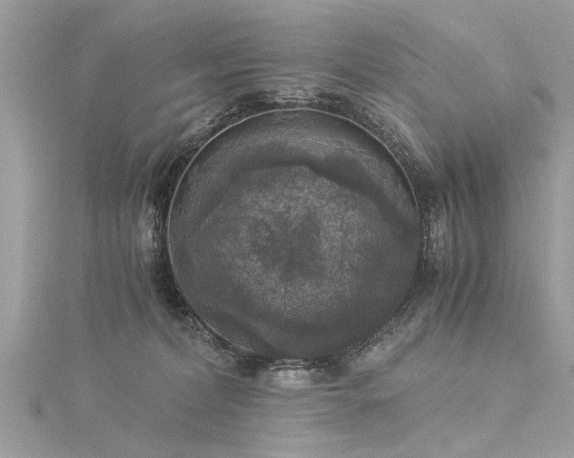 X0000116020228200911201241