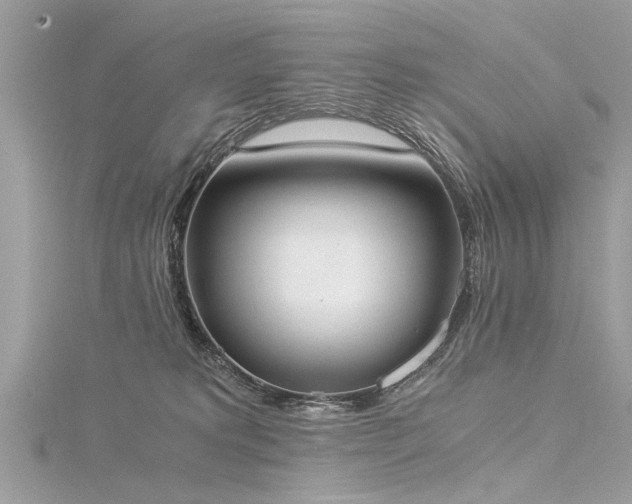 X0000116020229200911201241