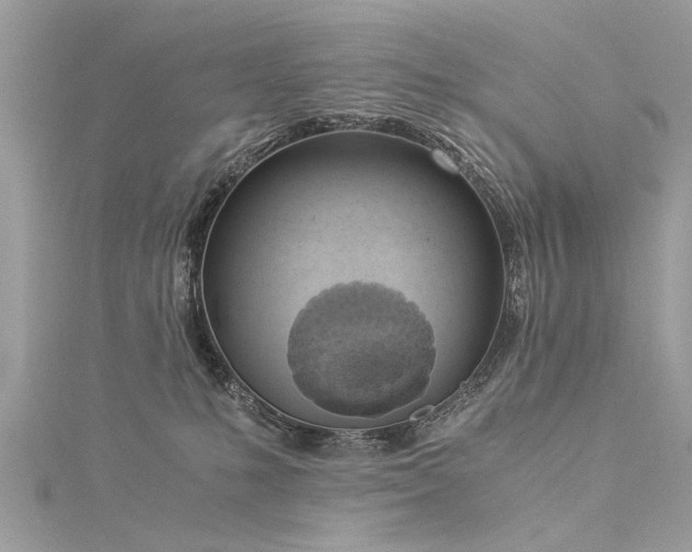 X0000116020231200911201241