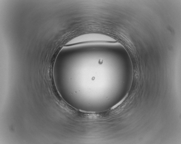 X0000116020233200911201241