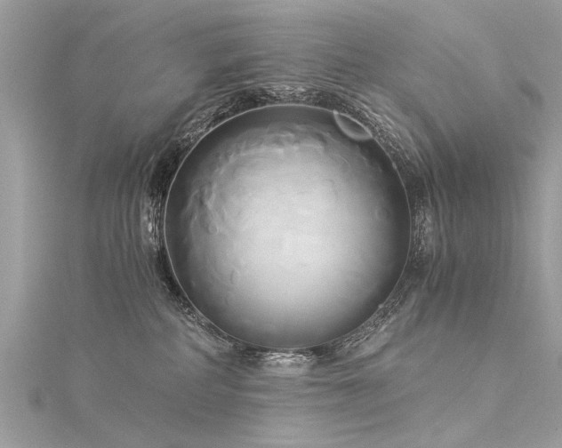 X0000116020234200911201241