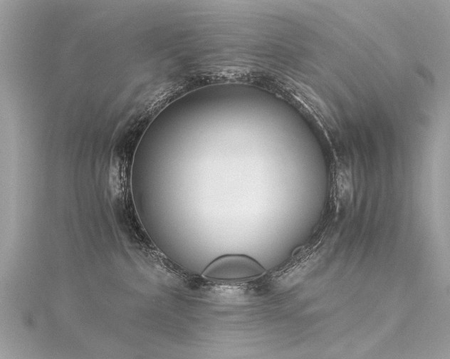 X0000116020236200911201241