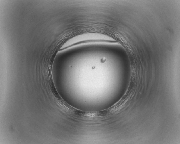 X0000116020237200911201241