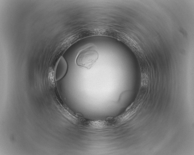 X0000116020238200911201241