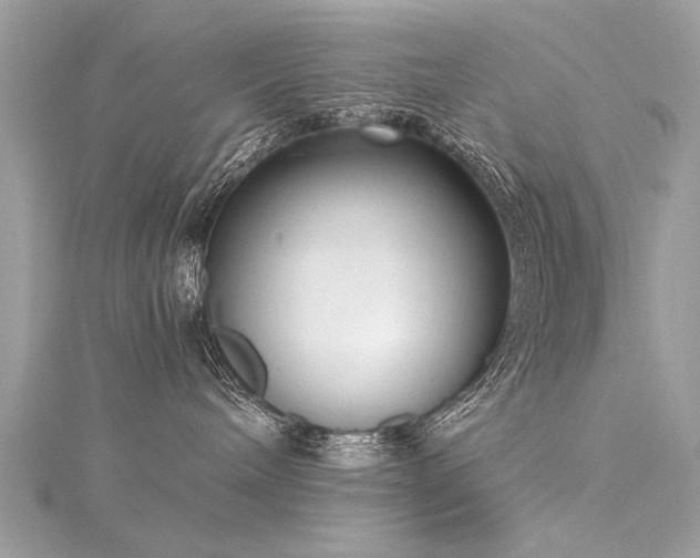 X0000116020240200911201240