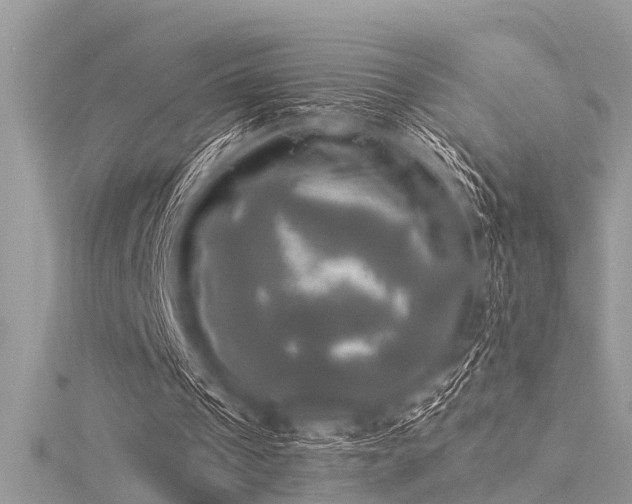 X0000116020241200911201240