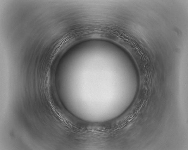 X0000116020242200911201240