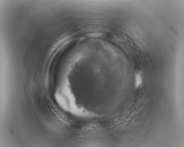 X0000116020243200911201240