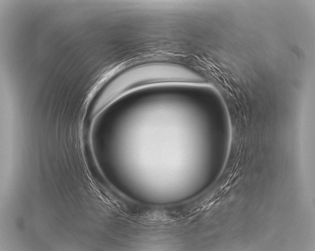 X0000116020244200911201240