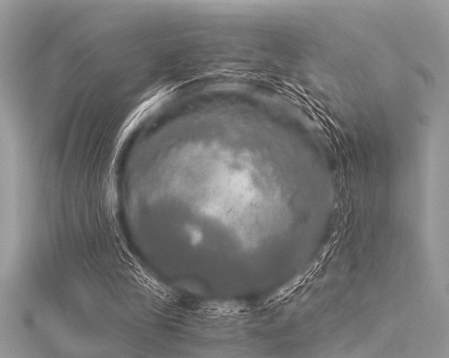 X0000116020245200911201240