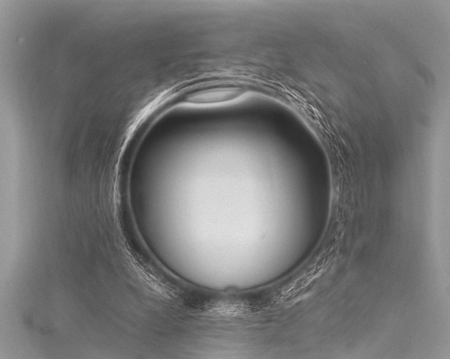 X0000116020248200911201240