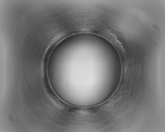 X0000116020250200911201240