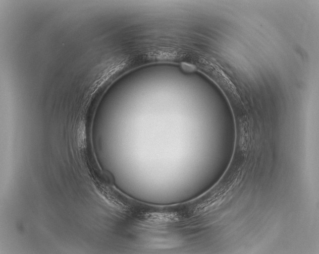 X0000116020251200911201240