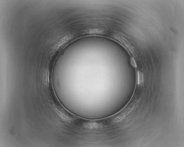 X0000116020253200911201240