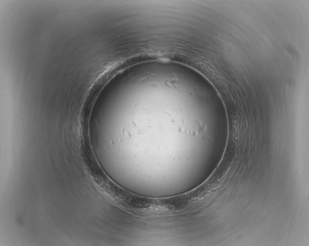 X0000116020256200911201240