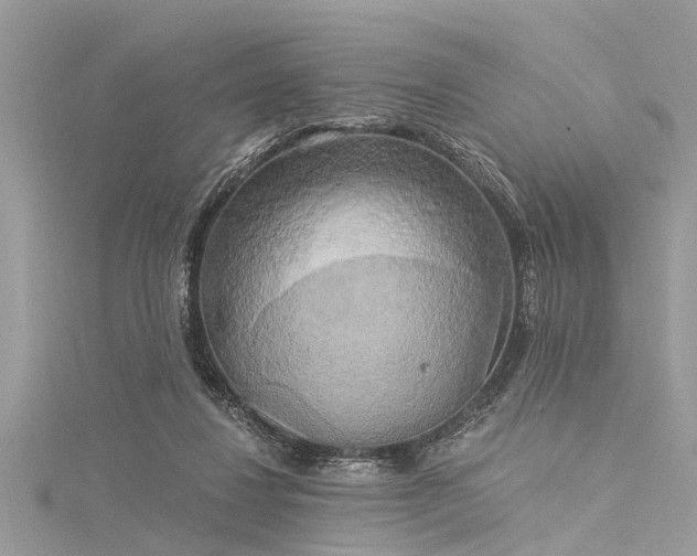 X0000116020260200911201240