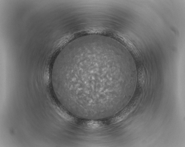 X0000116020261200911201240