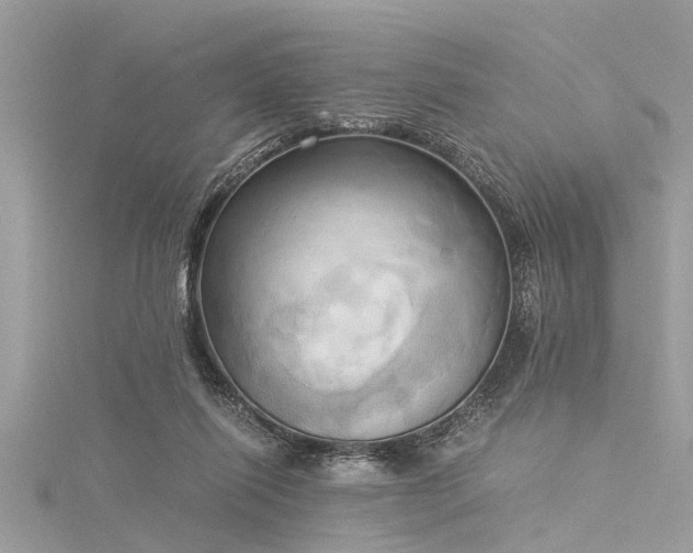 X0000116020262200911201240