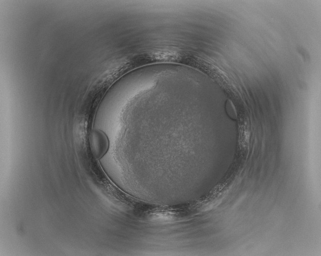 X0000116020263200911201240