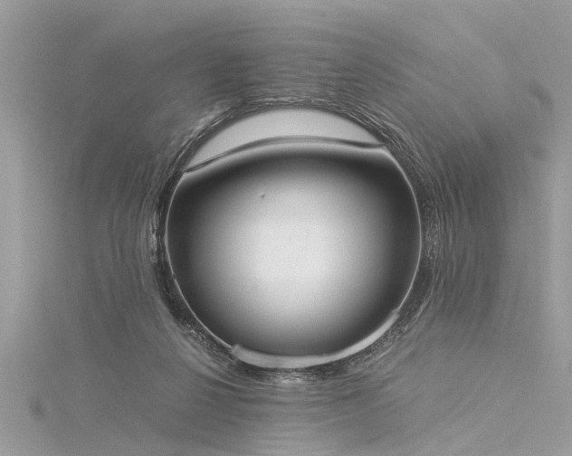 X0000116020264200911201240