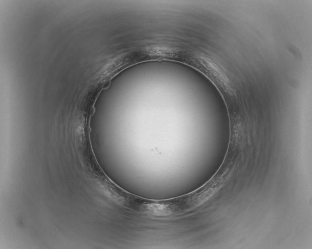 X0000116020265200911201240