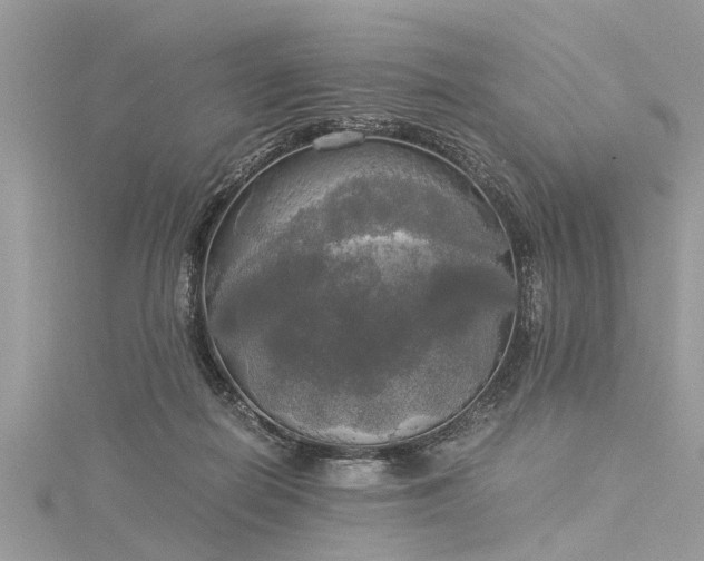 X0000116020266200911201240