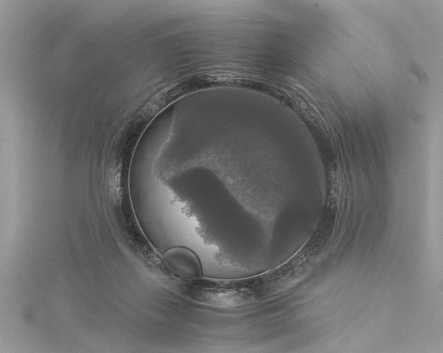 X0000116020267200911201240