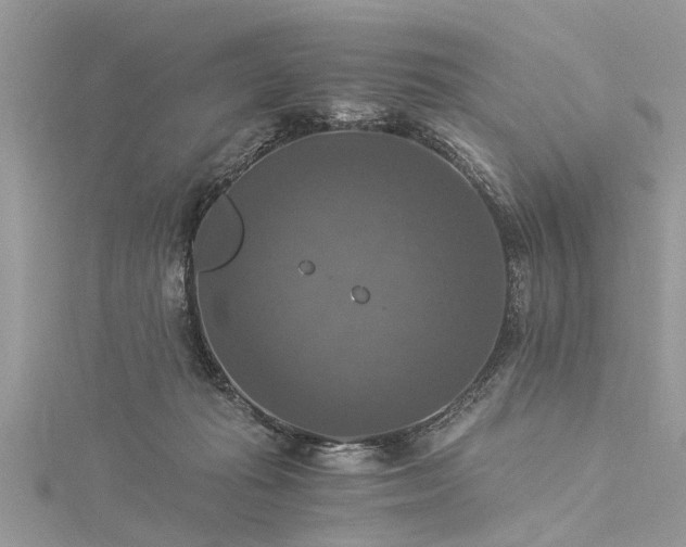 X0000116020269200911201240