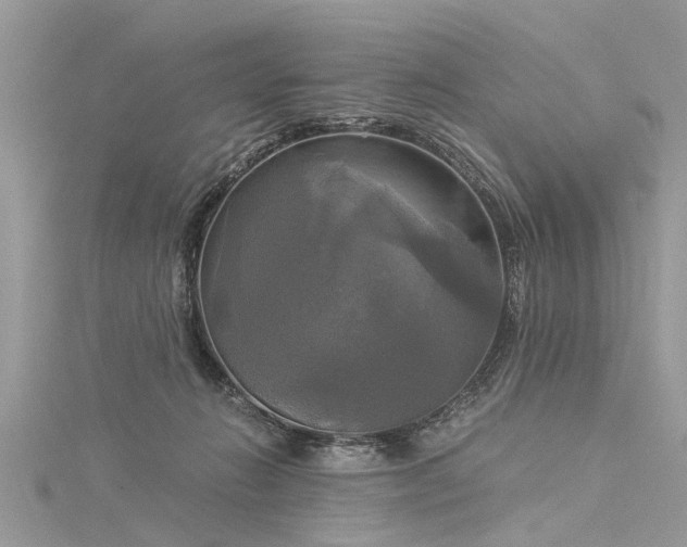 X0000116020270200911201240