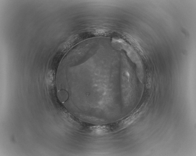 X0000116020273200911201240