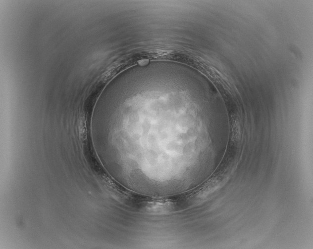 X0000116020274200911201240