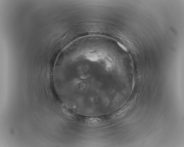 X0000116020277200911201240