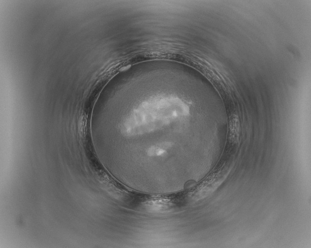 X0000116020278200911201240