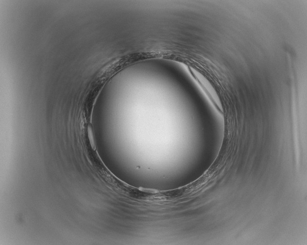 X0000116020279200911201240