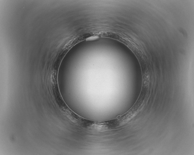 X0000116020280200911201240