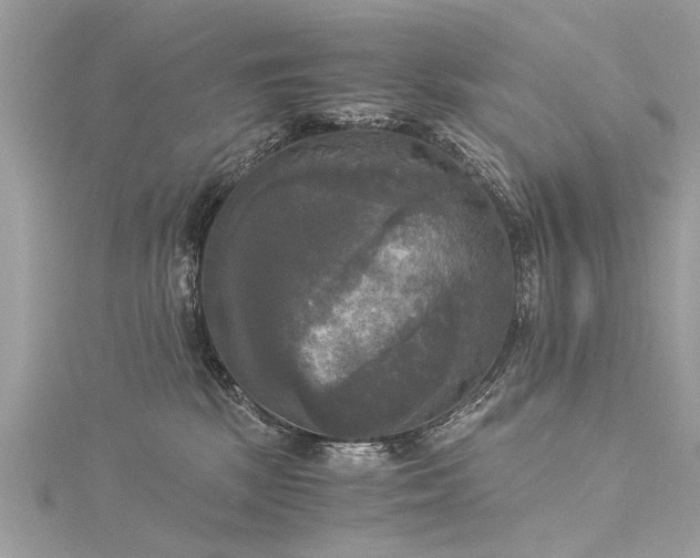 X0000116020281200911201240