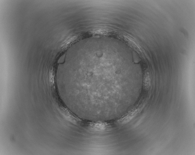 X0000116020282200911201240