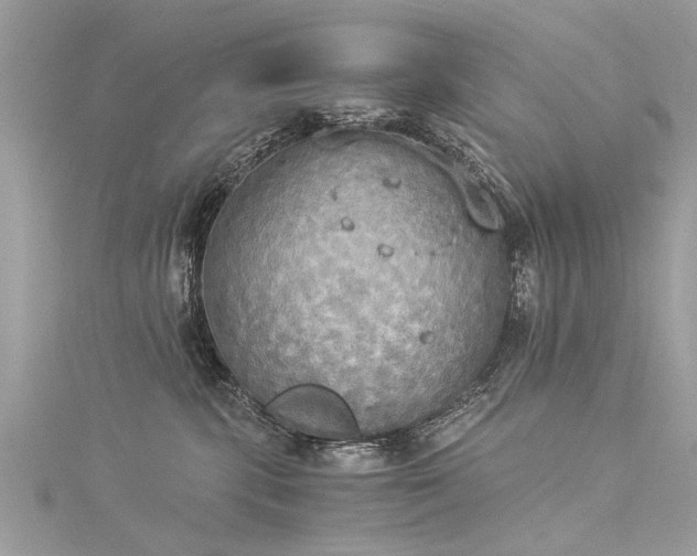 X0000116020283200911201240