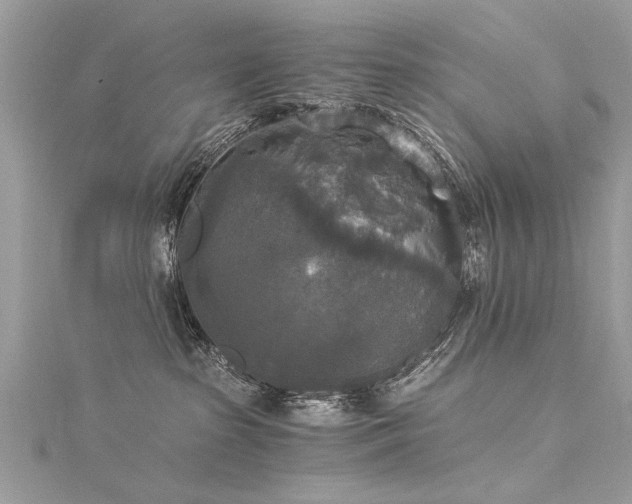 X0000116020285200911201240