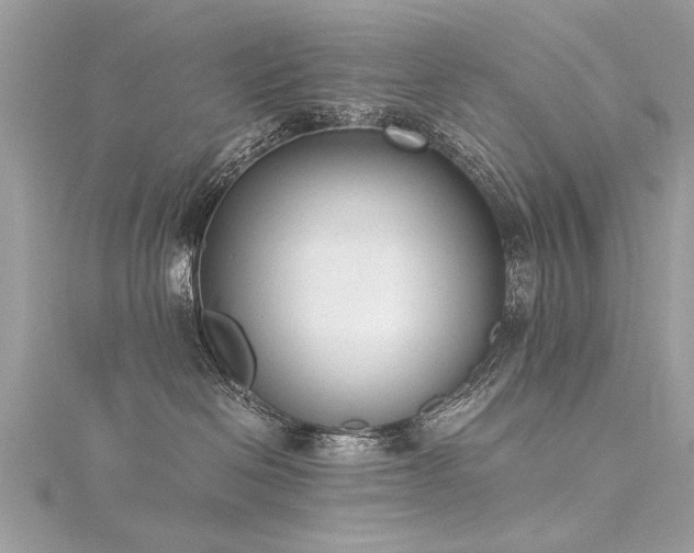 X0000116020286200911201240